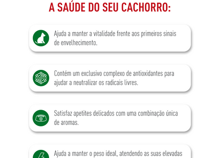 Royal Canin Mini Adult 8+ – Ração Seca para Cães Adultos Raças Pequenas