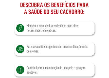 Royal Canin Mini Adult – Ração Seca para Cães Adultos de Raça Pequena