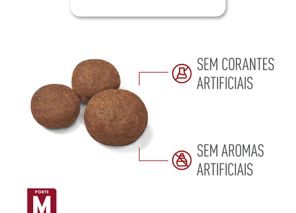 Royal Canin Maxi Puppy – Ração para Filhotes de Raças Médias