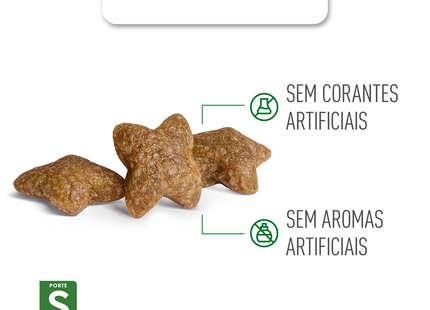 Royal Canin Mini Adult – Ração Seca para Cães Adultos de Raça Pequena