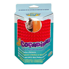 Collection image for: Escovação, Pelagem e Perfumaria