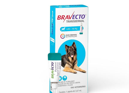 Bravecto Transdermal Cães 20–40 kg – 1000 mg