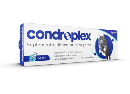 Condroplex Pasta 60g