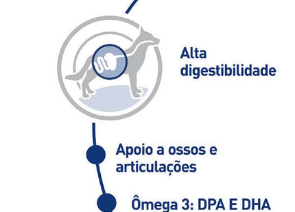 Royal Canin Maxi Adult – Ração para Cães de Porte Grande
