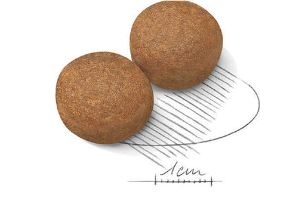 Royal Canin Maxi Adult – Ração para Cães de Porte Grande