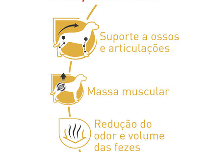 Royal Canin Dachshund Adulto – Ração para Cães da Raça Dachshund