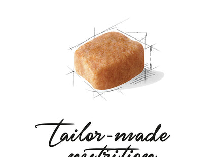 Royal Canin Dachshund Adulto – Ração para Cães da Raça Dachshund