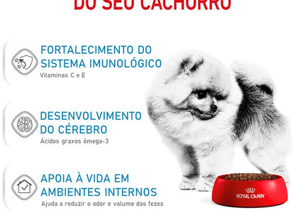 Royal Canin Mini Indoor Junior – Ração Seca para Filhotes de Raças Pequenas