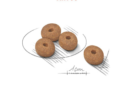 Royal Canin Mini Light – Ração Seca para Cães Adultos de Raças Pequenas com Tendência ao Ganho de Peso