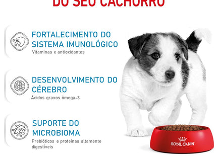 Royal Canin Mini Junior – Ração Seca para Filhotes de Raças Pequenas