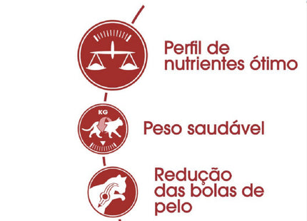 Royal Canin Fit – Ração Completa para Gatos Adultos