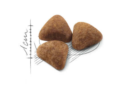 Royal Canin Indoor – Ração Completa para Gatos Adultos