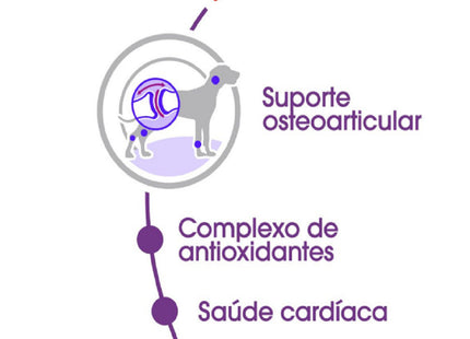 Royal Canin Giant Adult – Ração para Cães de Raça Gigante