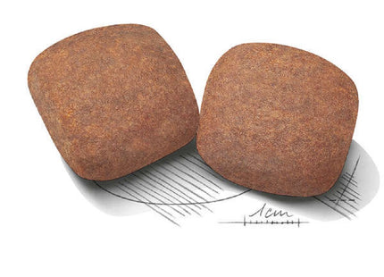 Royal Canin Giant Adult – Ração para Cães de Raça Gigante