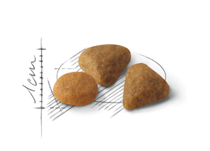 Royal Canin Exigent – Ração Completa para Gatos Adultos com Paladar Exigente