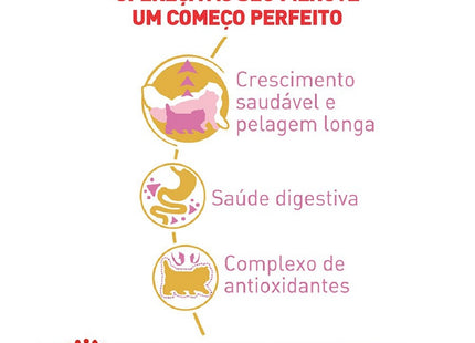 Royal Canin Kitten Persian 32 – Ração Completa para Gatos Filhotes da Raça Persa