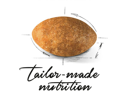 Royal Canin Persian 30 – Ração Completa para Gatos Adultos da Raça Persa