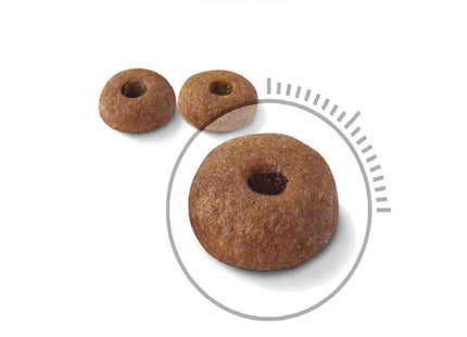 Ração Seca Royal Canin Light para Gatos Adultos