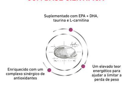 Royal Canin Veterinary Diet Cardiac Canine – Ração Seca para Cães Adultos com Insuficiência Cardíaca