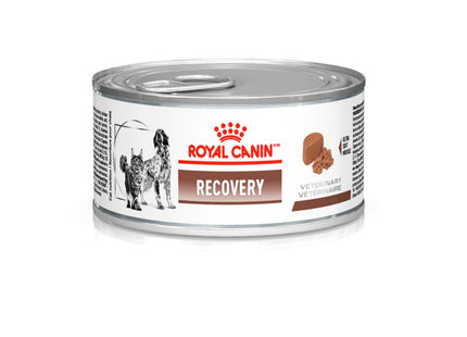Royal Canin Veterinary Diet Recovery Wet – Alimento Úmido Terapêutico para Cães e Gatos em Recuperação