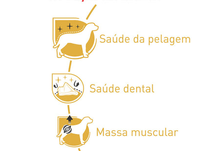 Royal Canin Poodle Adulto – Ração para Cães da Raça Poodle Adulto