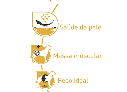 Royal Canin Pug Adult – Ração para Cães da Raça Pug