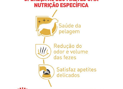 Royal Canin Maltês Adulto – Ração para Cães da Raça Maltês