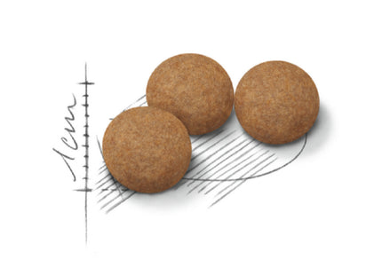 Royal Canin Sterilised 12+ – Ração para Gatos Castrados Sênior