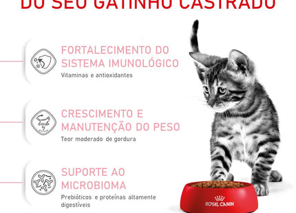 Royal Canin Kitten Sterilised – Ração Completa para Gatos Filhotes Castrados