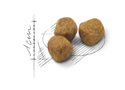 Royal Canin Indoor 7+ – Ração Completa para Gatos Sênior