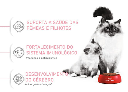 Royal Canin Mother & Babycat – Ração Completa para Gatas Gestantes/Lactantes e Gatinhos