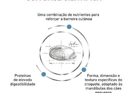 Royal Canin Veterinary Diet Skin Care Adult Small