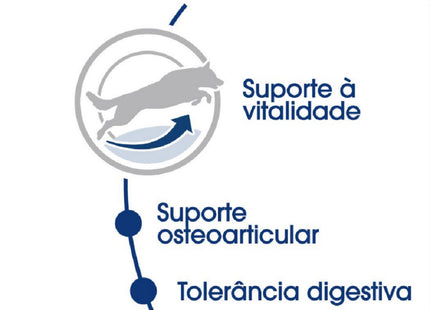 Royal Canin Maxi Adult 5+ – Ração para Cães de Raça Grande