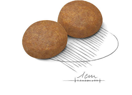 Royal Canin Maxi Adult 5+ – Ração para Cães de Raça Grande