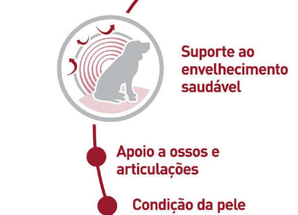 Royal Canin Medium Ageing 10+ – Ração para Cães de Porte Médio