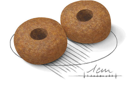 Royal Canin Medium Ageing 10+ – Ração para Cães de Porte Médio