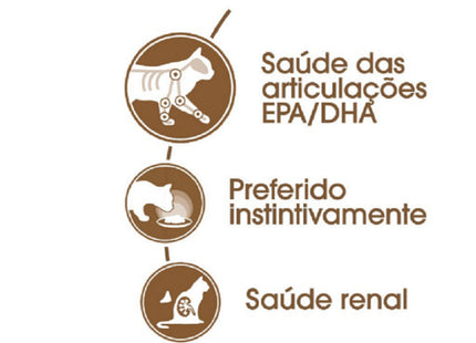 Royal Canin Ageing 12+ Wet 85 g – Ração Úmida para Gatos Adultos