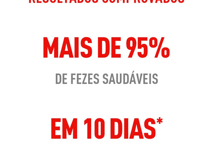 Ração Seca Royal Canin Cuidado Digestivo para Gatos Adultos