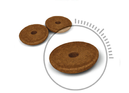 Ração Seca Royal Canin Cuidado Digestivo para Gatos Adultos