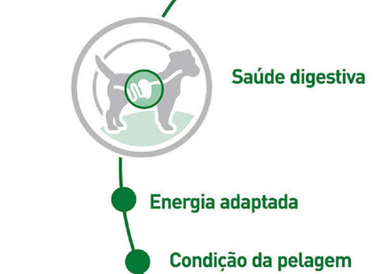 Royal Canin Mini Adult Wet 85 g – Ração Úmida para Cães Adultos de Raças Pequenas