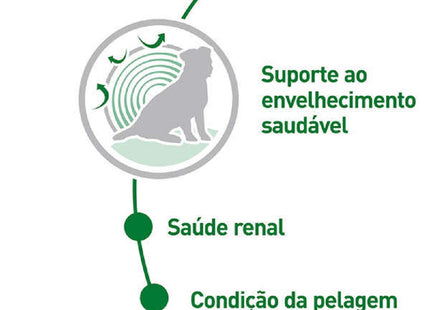 Royal Canin Mini Ageing Wet 85 g – Ração Úmida para Cães Idosos de Raças Pequenas