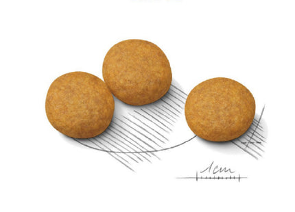 Royal Canin Medium Dermacomfort – Ração para Cães Adultos ou Idosos de Porte Médio