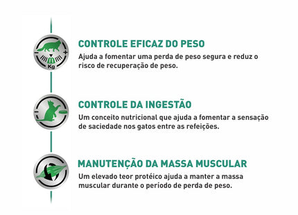 Royal Canin Veterinary Diet Urinary S/O Feline Wet 85 g