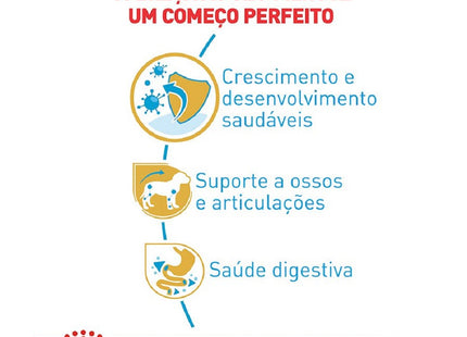 Royal Canin Dachshund Junior – Ração para Filhotes da Raça Dachshund