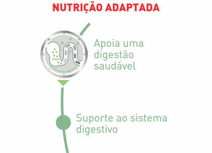 Ração Úmida Royal Canin Cuidado Digestivo para Cachorros Adultos