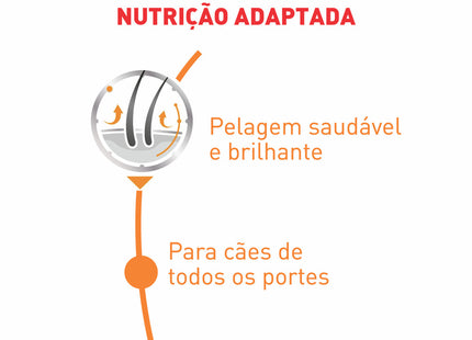 Ração Úmida Royal Canin Coat Beauty Wet 85 g