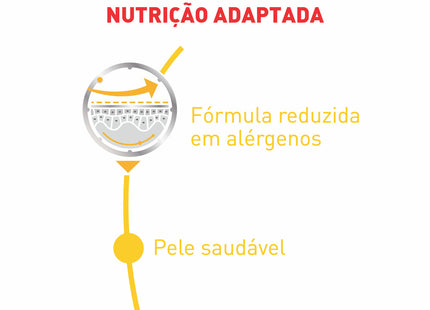 Ração Úmida Royal Canin Dermacomfort Wet 85 g