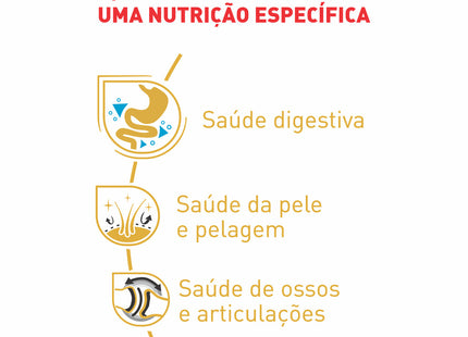 Ração Royal Canin BHN Pomeranian Adult