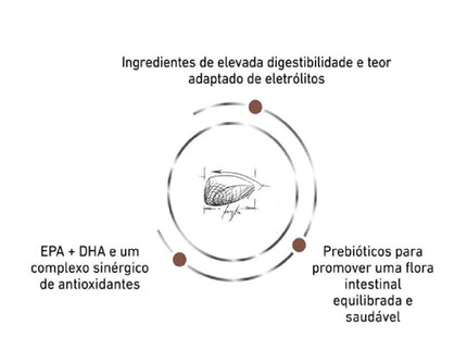 Ração Seca Medicamentosa Royal Canin Gastro Intestinal para Gatos