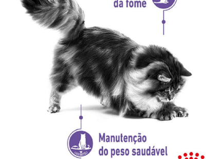 Royal Canin Appetite Control Wet 85 g – Ração Úmida para Gatos Adultos com Controle de Apetite